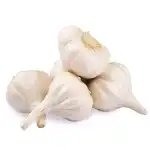 Fresh Garlic
